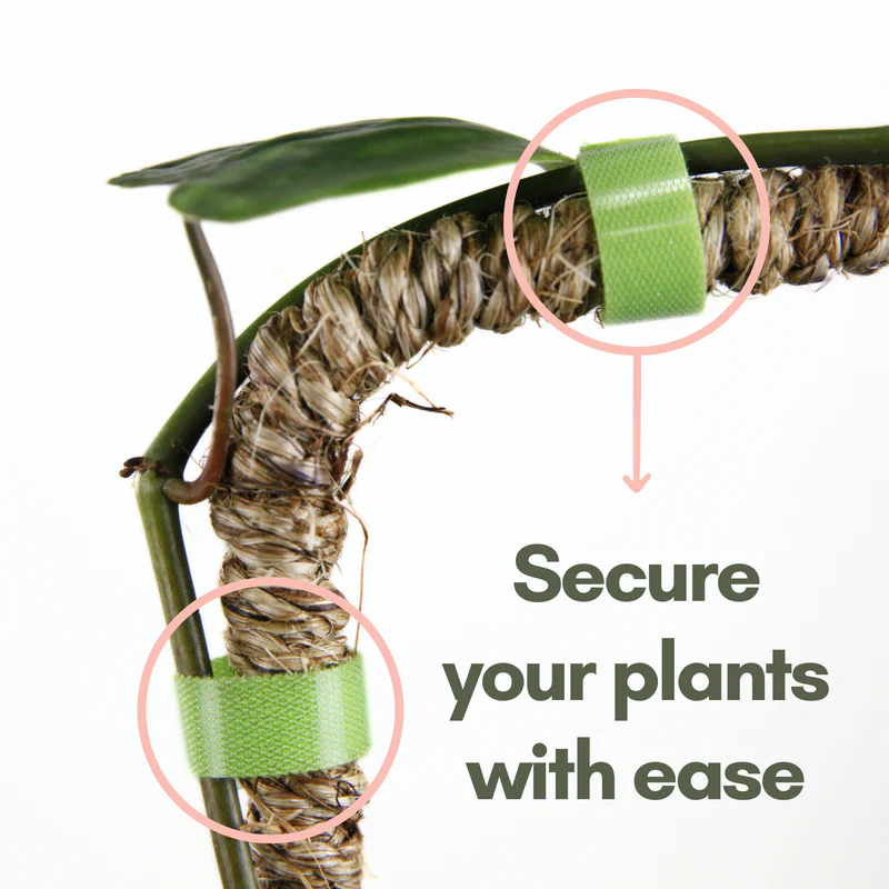 Mossify - 10'' Reusable Plant Tape - Image 2