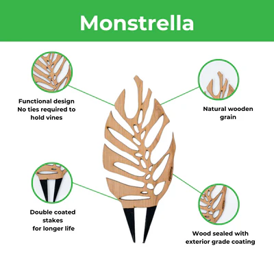 Treleaf - 12" Monstrella Plant Stake - Image 2