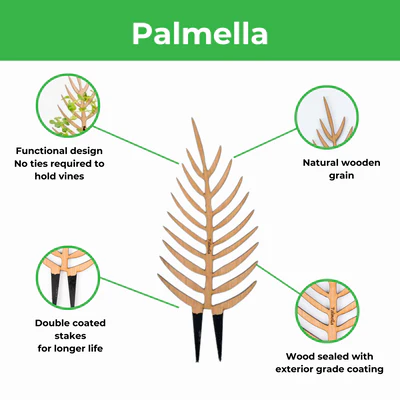 Treleaf - 24" Palmella Staked Plant Support - Image 3