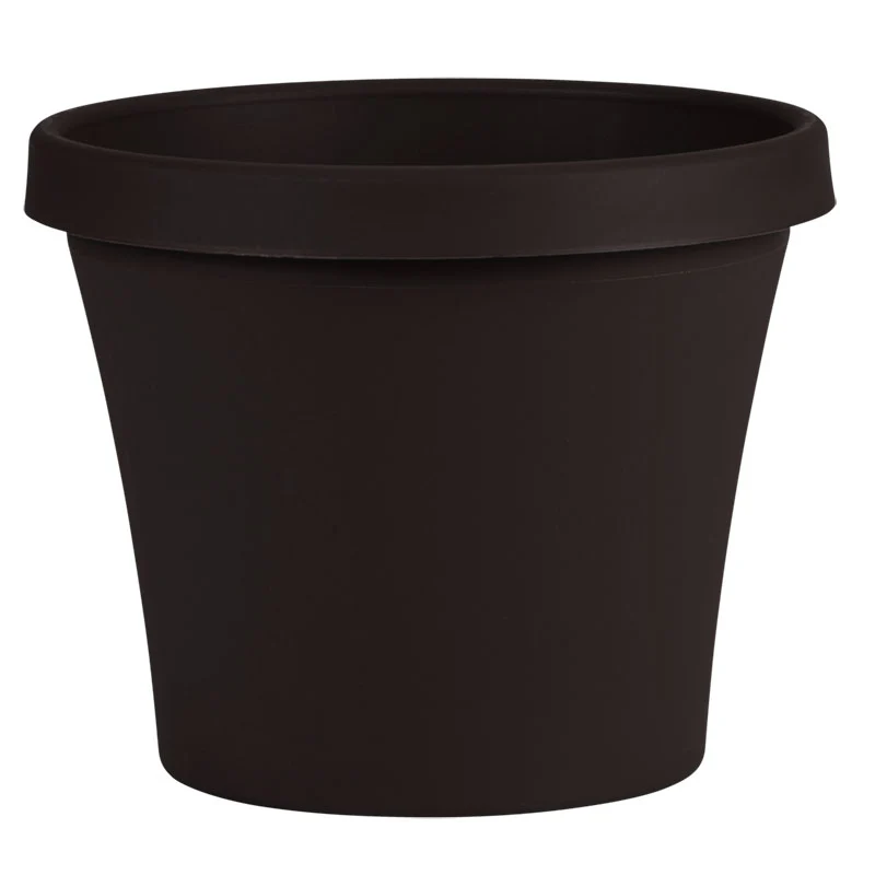 Bloem Terra Plastic Planter, Black, 12 in.