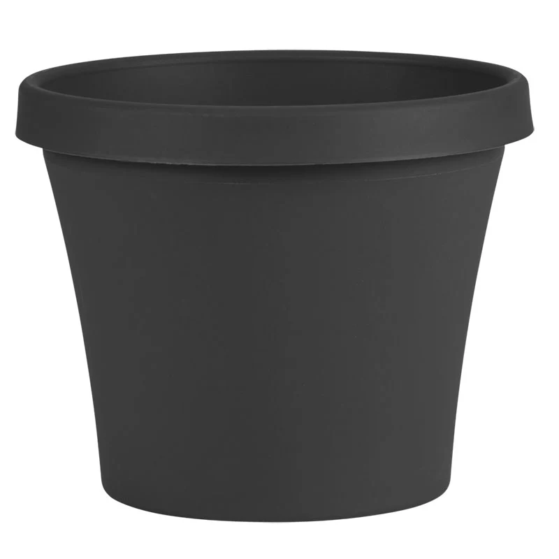 Bloem Terra Plastic Planter, Charcoal, 4 in.