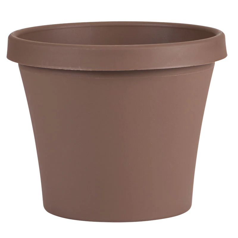 Bloem Terra Plastic Planter, Chocolate, 12 in.