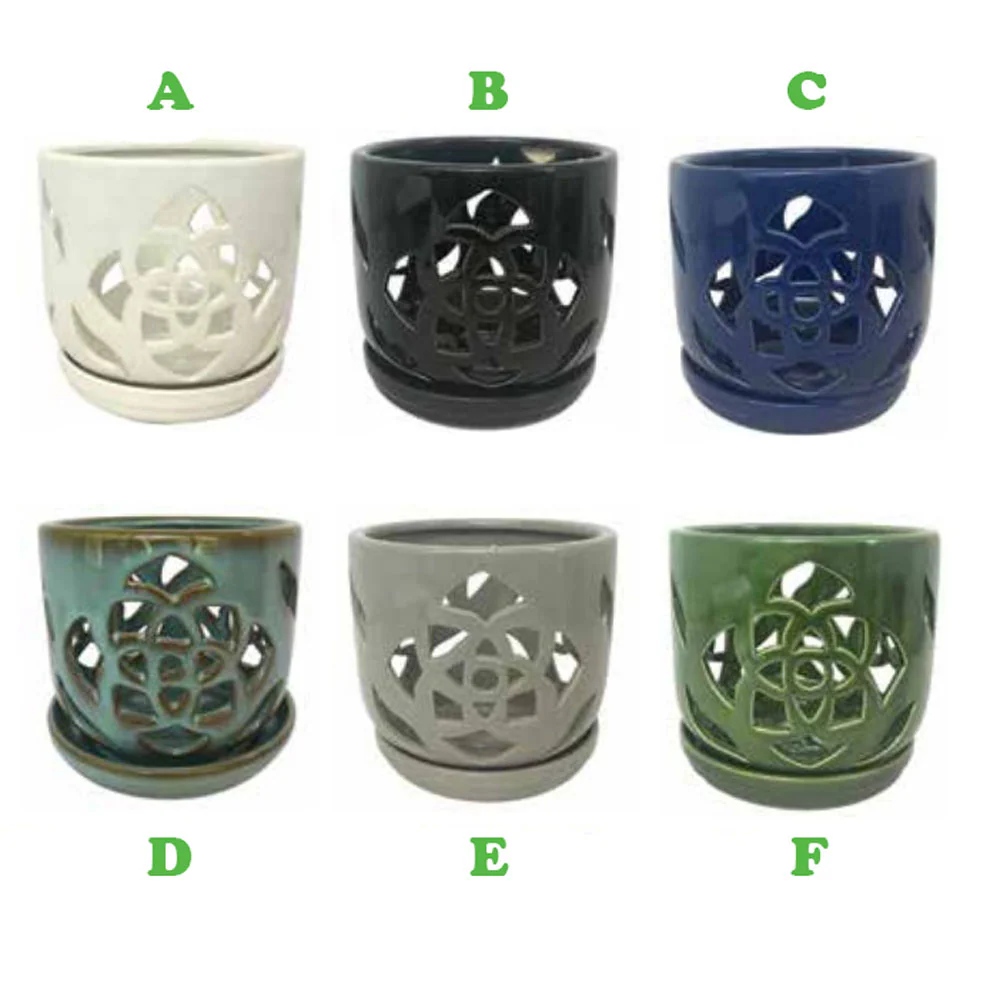 Border Concepts, 5.25" Orchid Pot w/ Saucer, Assorted and Sold Separately