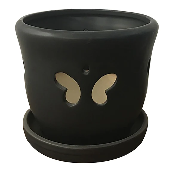Border Concepts Butterfly Orchid Pot w/ Attached Saucer , Matte Finish, 7.25-Inch (Colors Vary) - Image 4