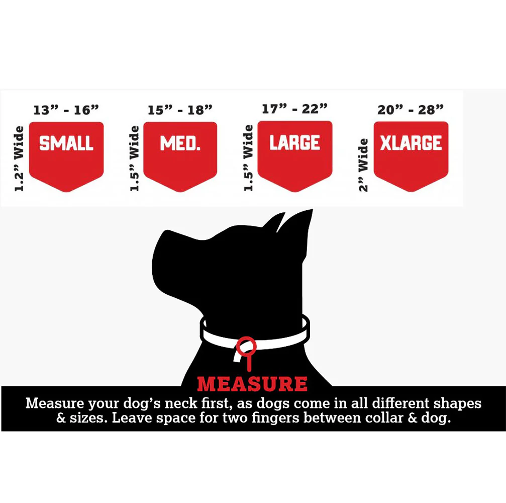 Boss Dog, Tactical Collar, Blue - Image 2