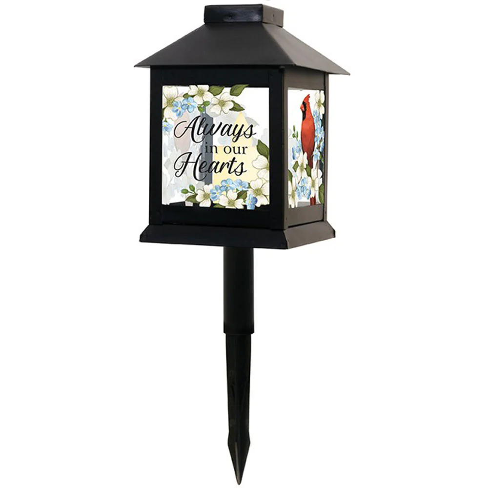 Carson, Always In our Hearts Lantern Pick