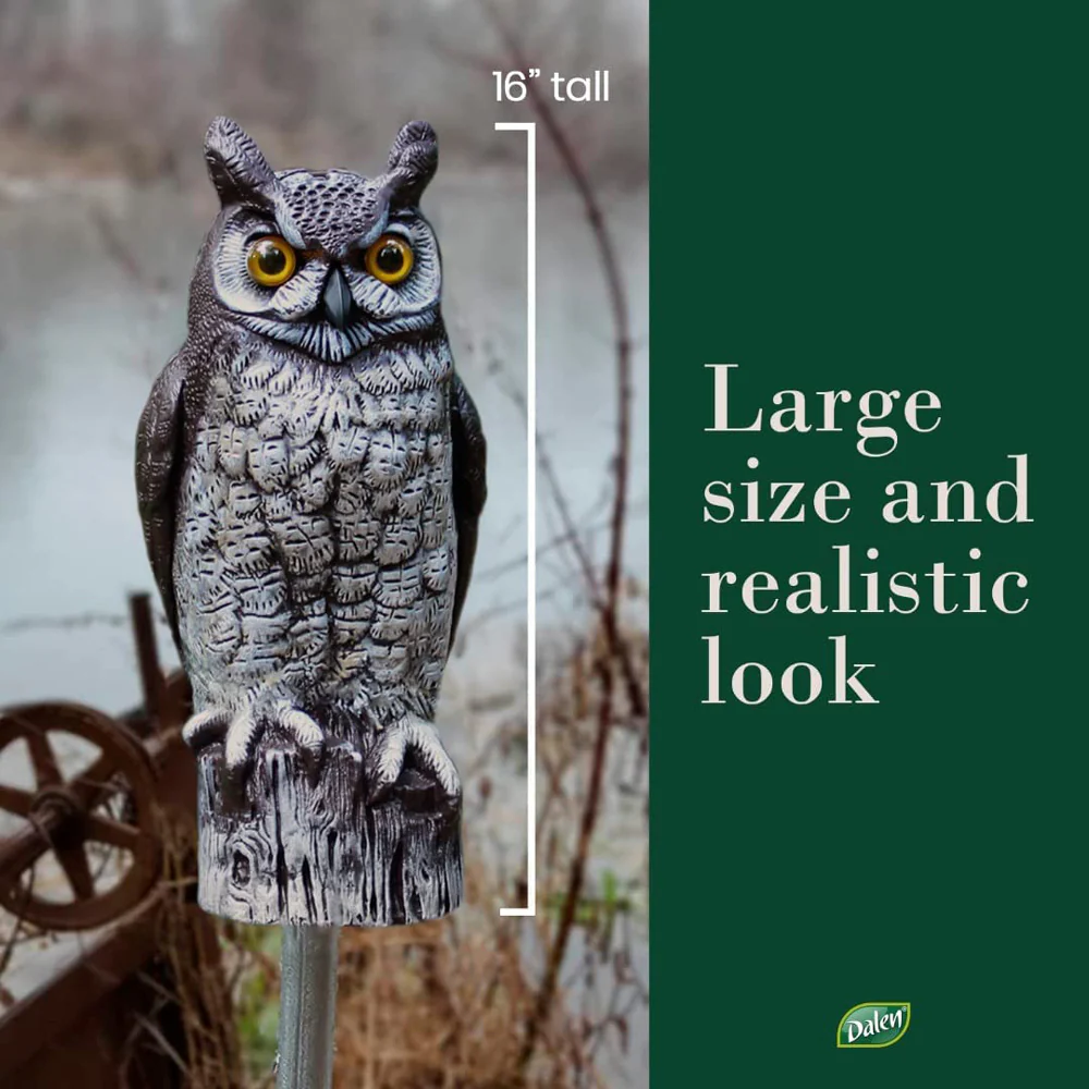 Dalen, 16" Molded Owl - Image 2