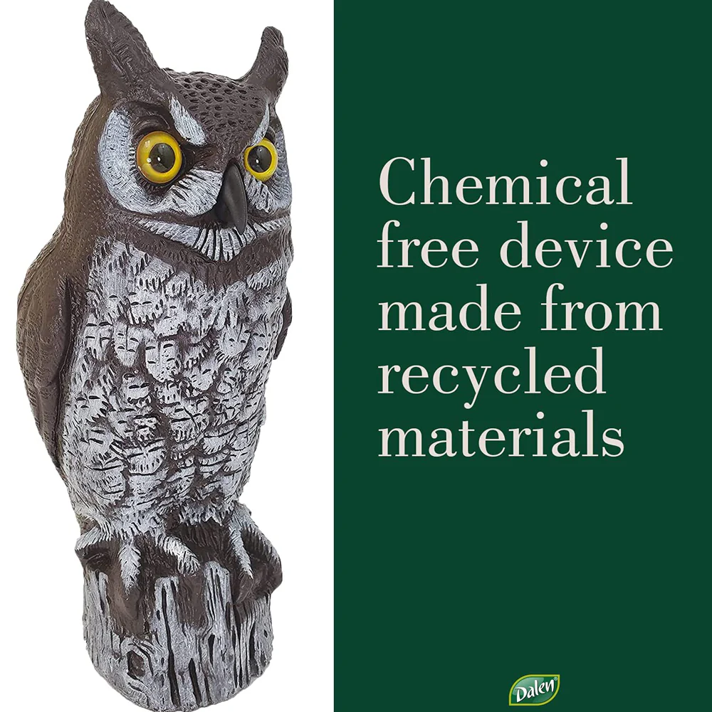 Dalen, 16" Molded Owl - Image 3