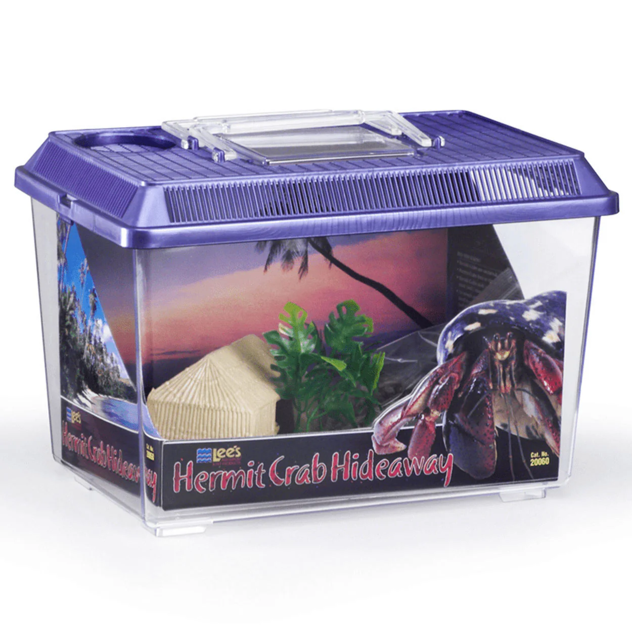 Hermit Crab Hideaway Kit