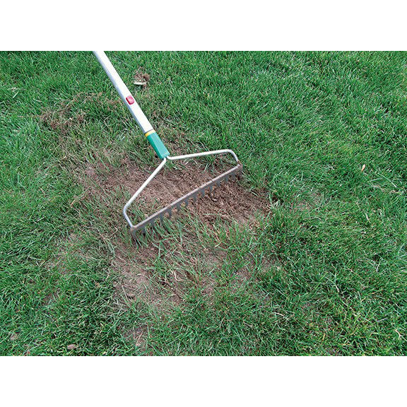 Jonathan Green Black Beauty® Biodegradable Grass Seed Roll, 50 Sq. Ft. - Image 2