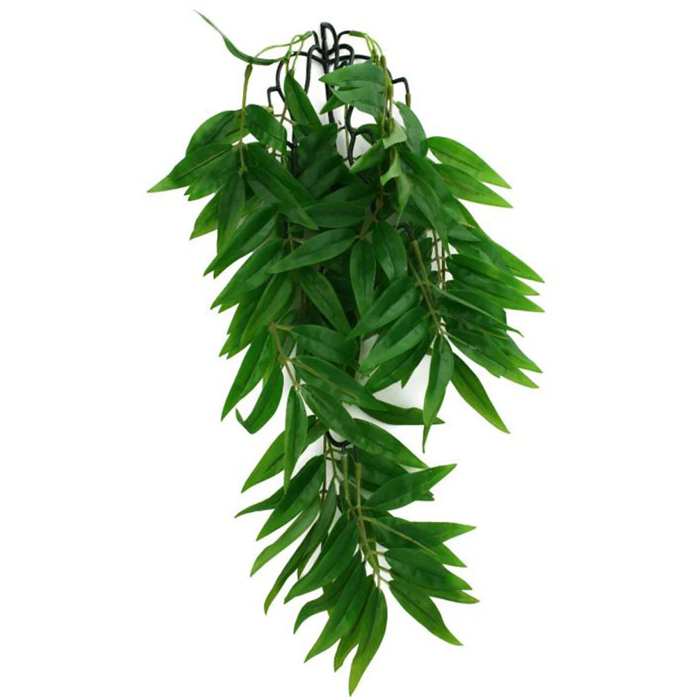 Komodo, Climbing Plant Bamboo, Small