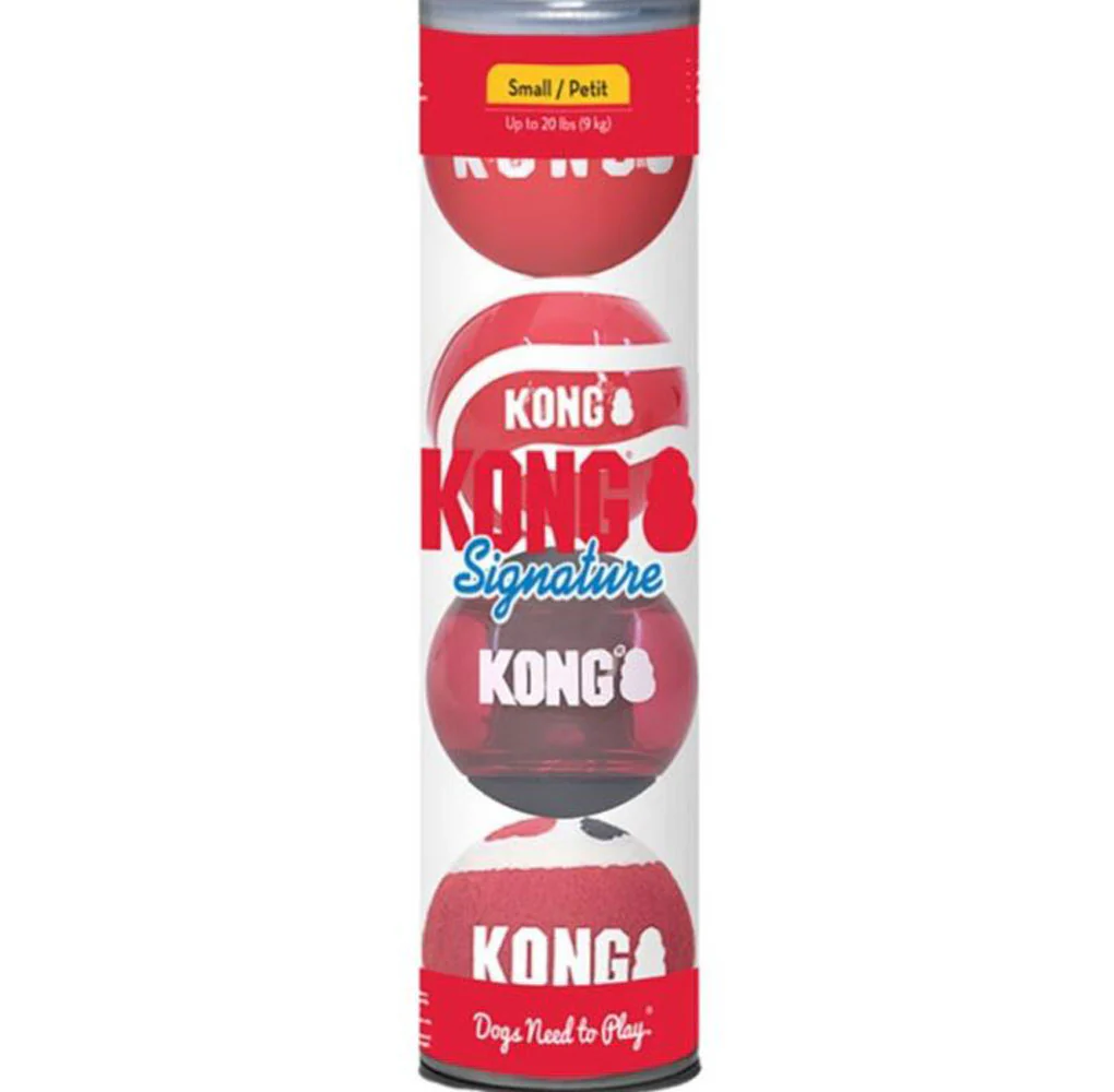 Kong, Signature Ball, 4pk, Small