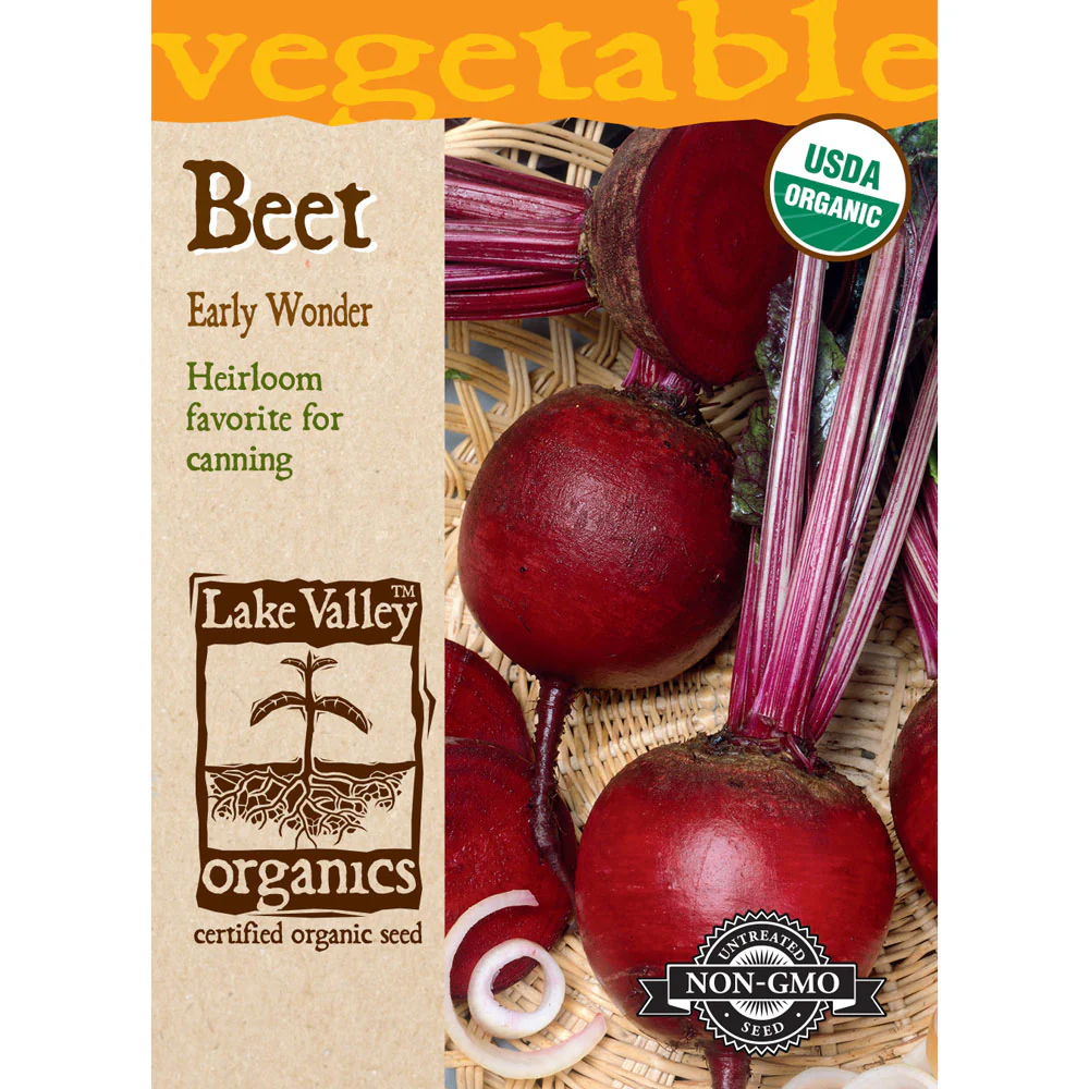 Lake Valley, Beet, Early Wonder Organic