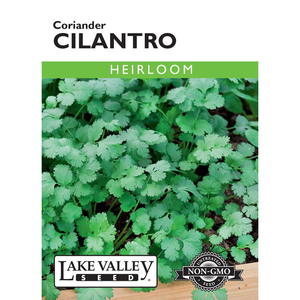 Lake Valley, Cilantro (Coriander)