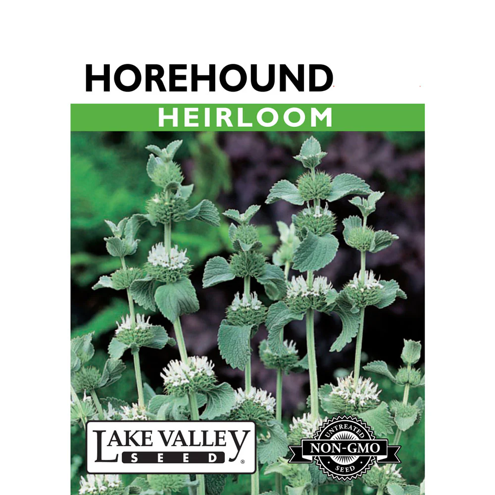 Lake Valley, Horehound