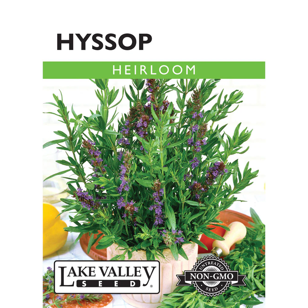 Lake Valley, Hyssop