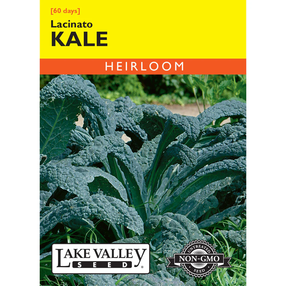 Lake Valley, Kale, Lacinato