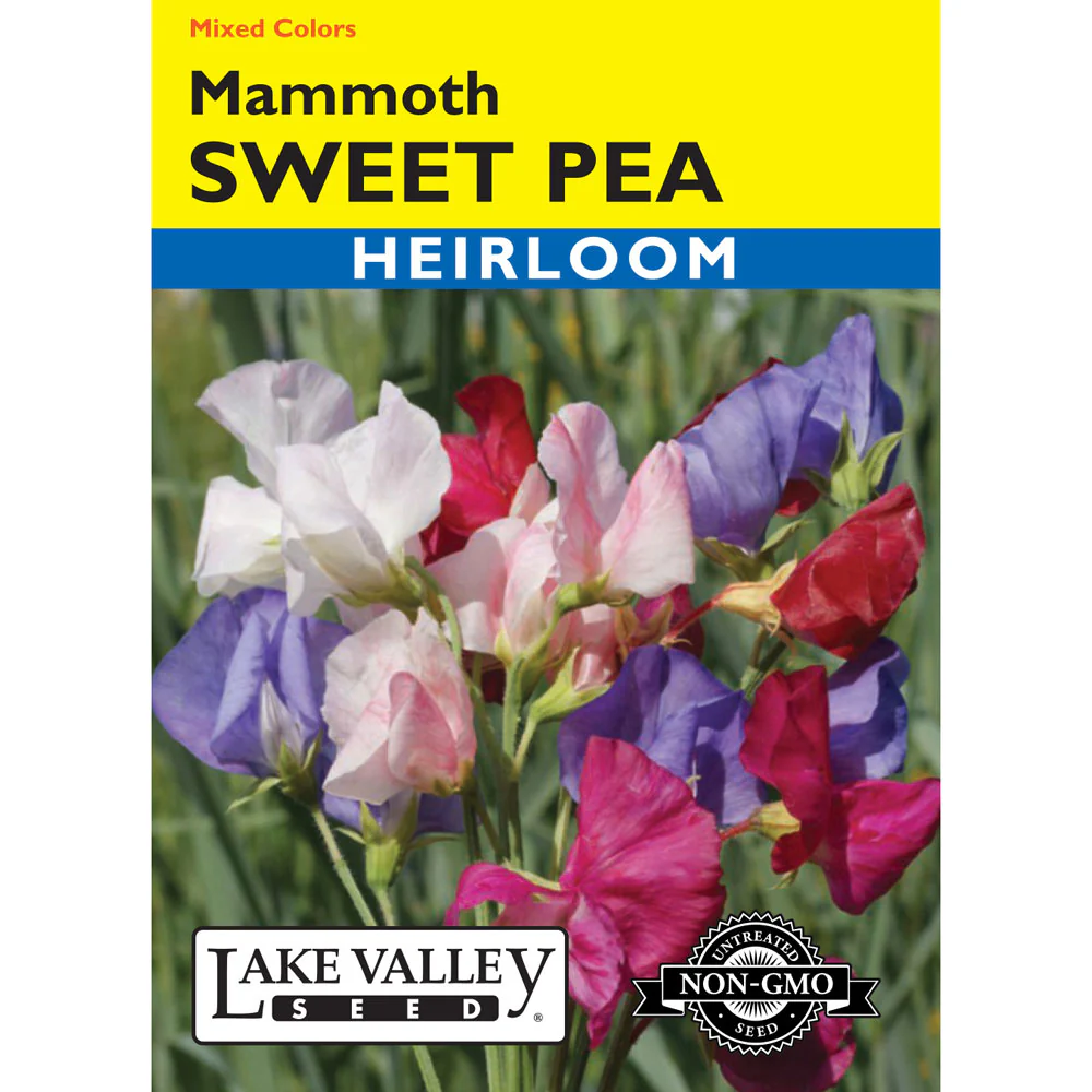 Lake Valley, Sweet Pea Mammoth, Mixed Colors