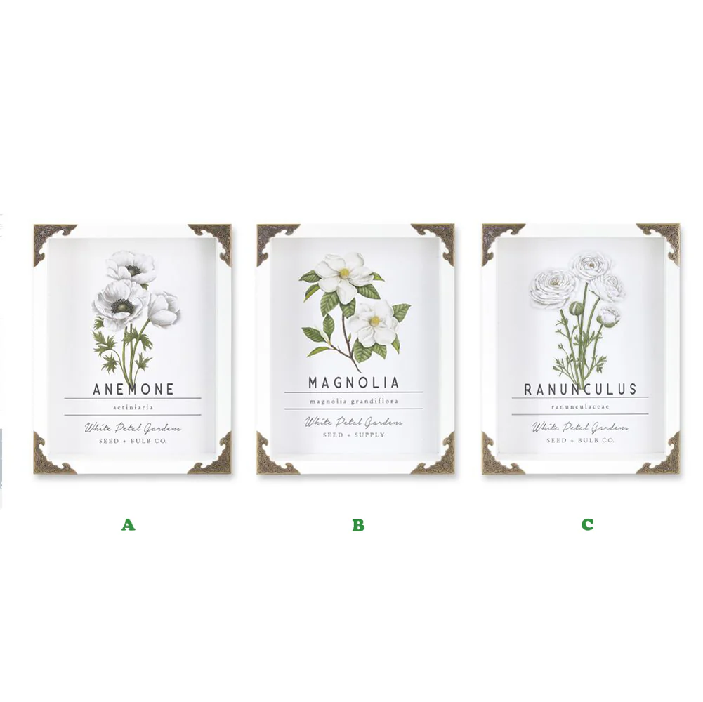 Melrose, Floral Wall Boxes, Assorted and Sold Separately