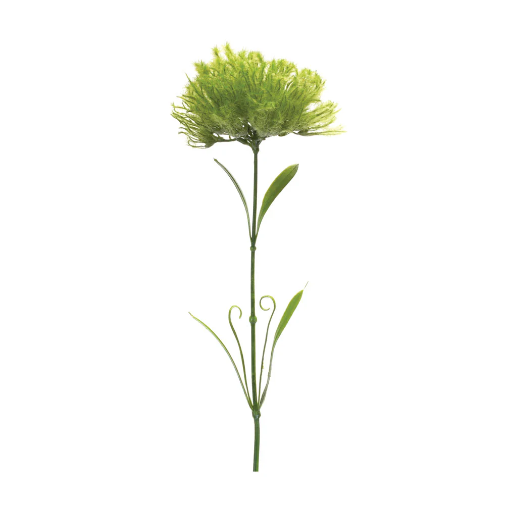Melrose International, Puff Stem, 24"