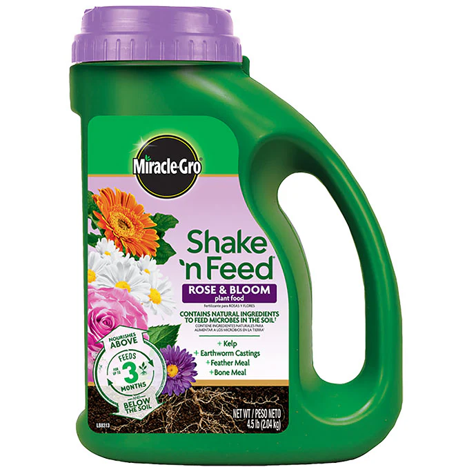 Miracle Gro Shake 'n Feed Rose & Bloom Plant Food, 4.5 LB