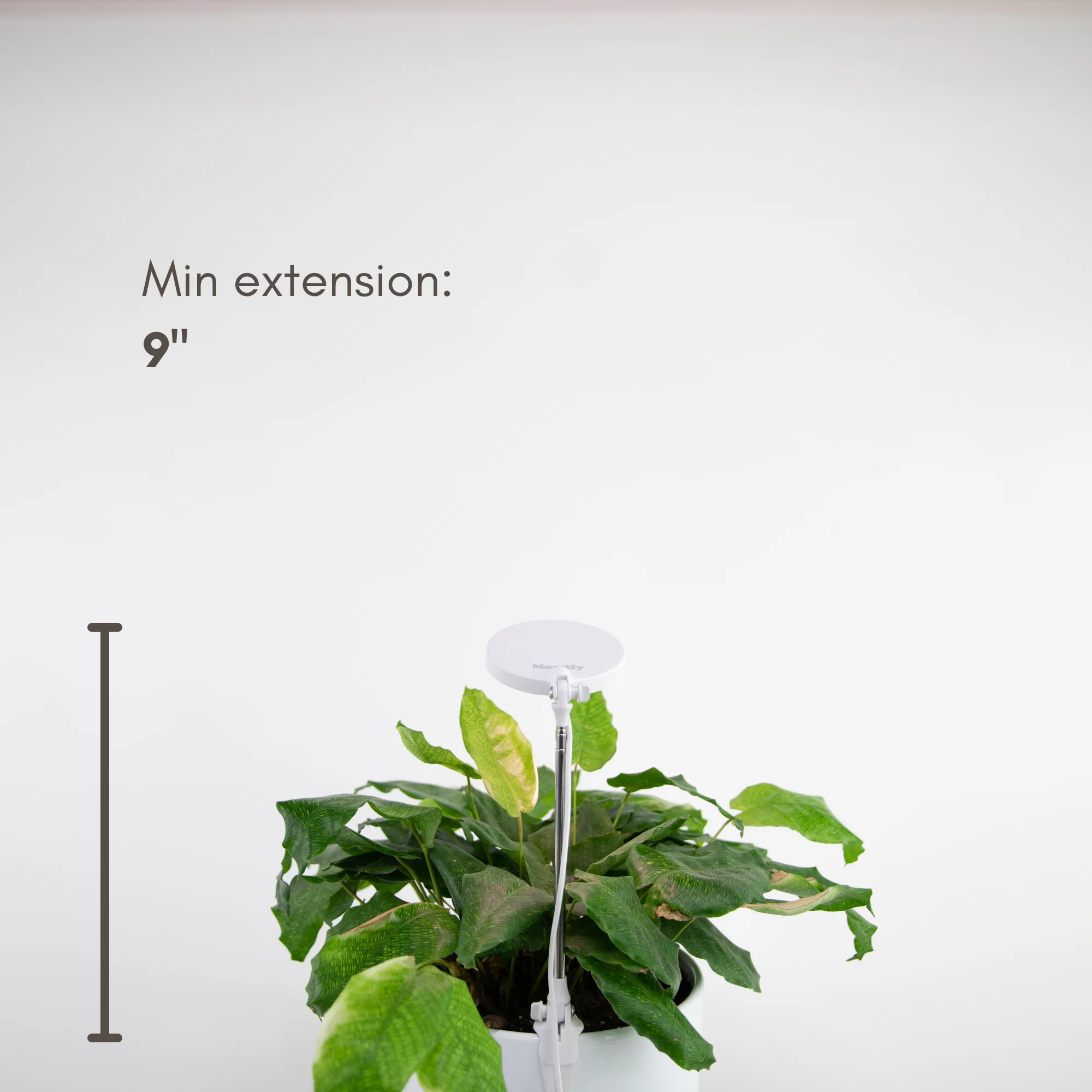 Mossify, Adjustable LED Plant Light - Image 3