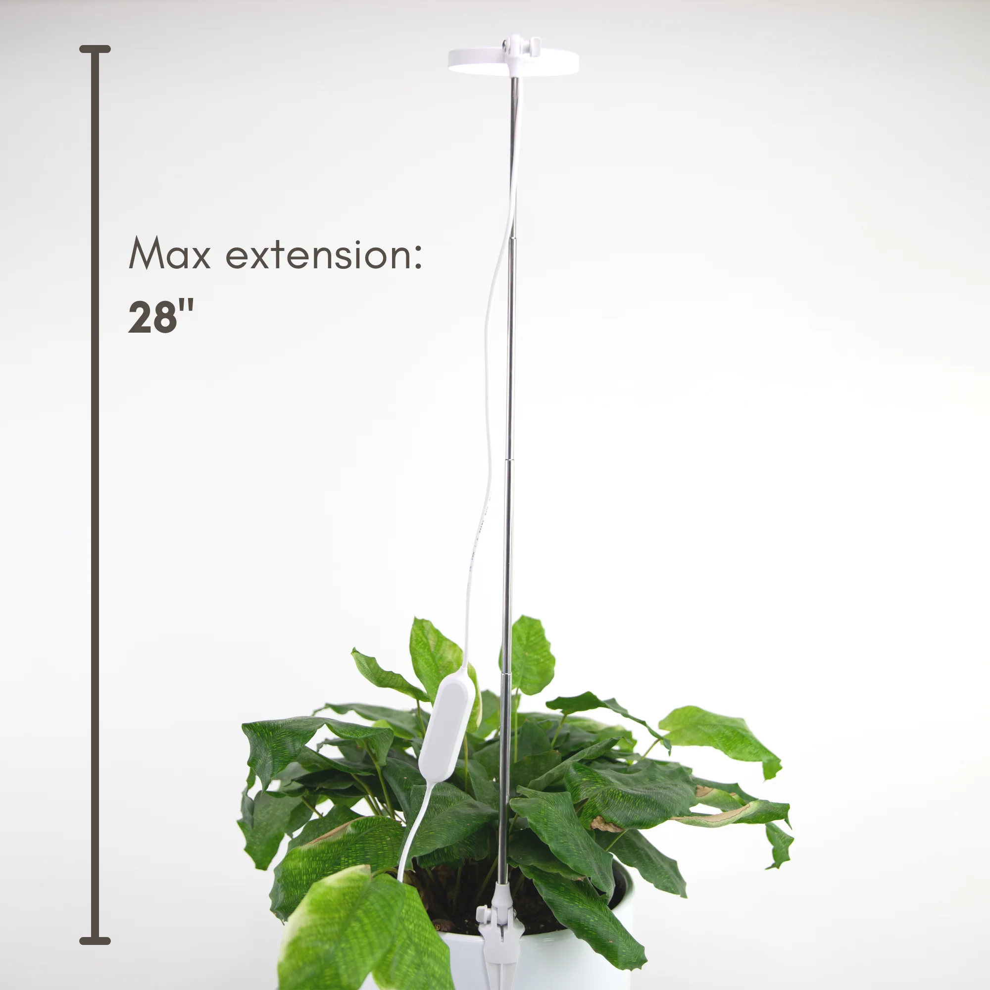 Mossify, Adjustable LED Plant Light - Image 4