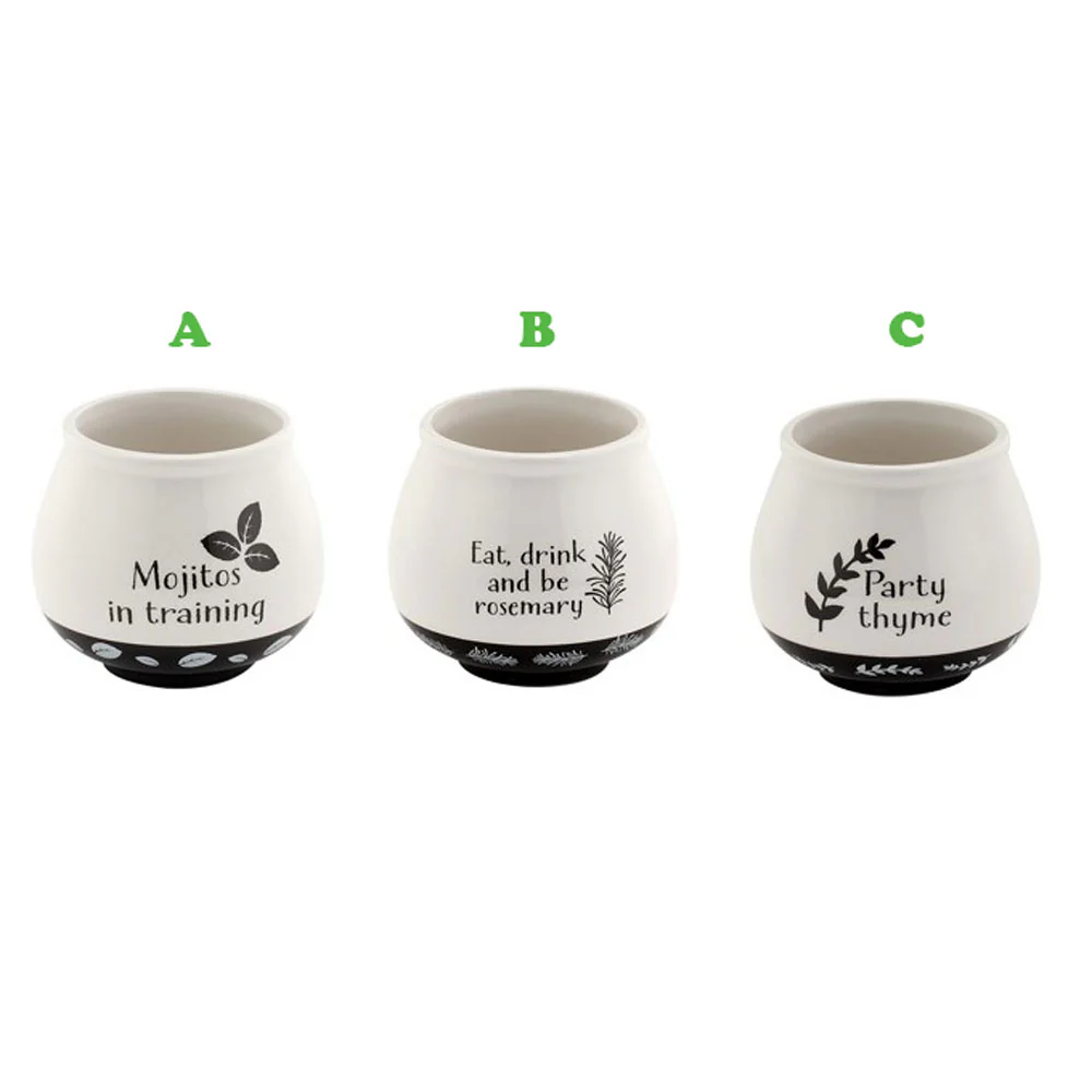 Napco, Herbs Witty Planter, Assorted and Sold Separately