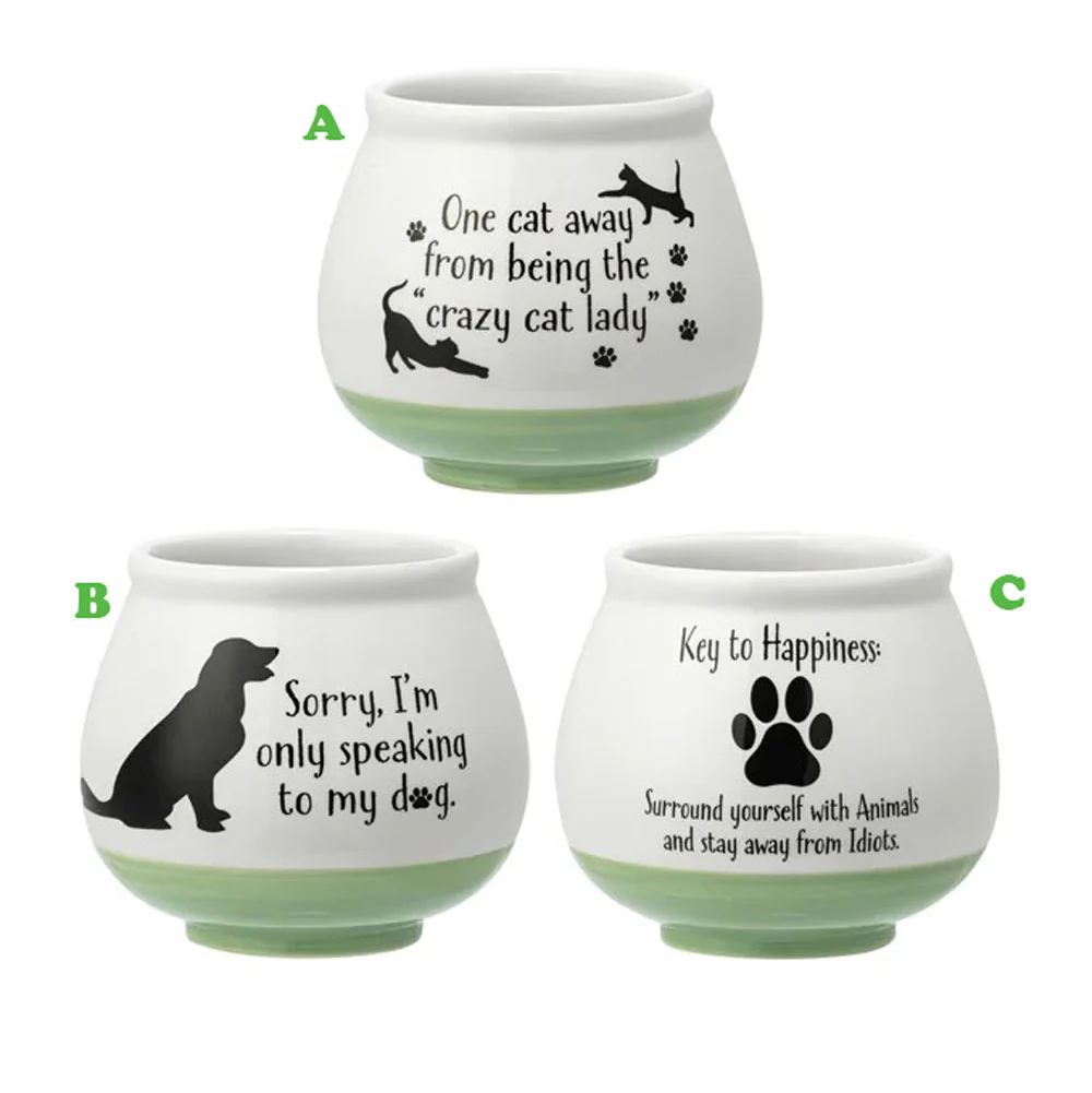 Napco, Witty Animal Planter, Assorted and Sold Separately