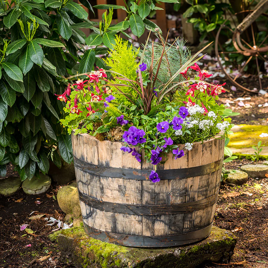 Oak Half Whiskey Barrel - Image 2