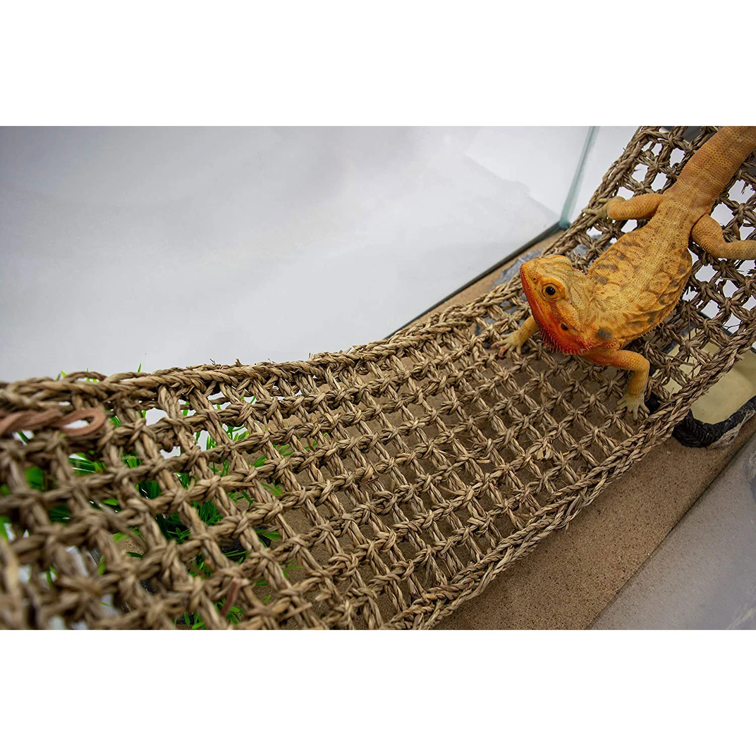 Penn-Plax Reptology Lizard Lounger - Image 3