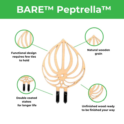 Treleaf - Customizable Wooden Plant Stake - Peptrella - Image 2