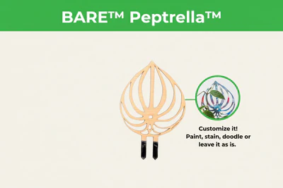 Treleaf - Customizable Wooden Plant Stake - Peptrella - Image 4