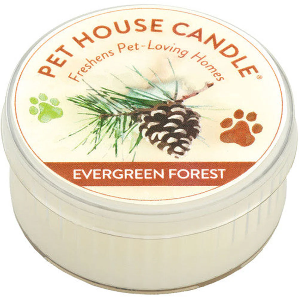 Pet House, Evergreen Candle - Image 2