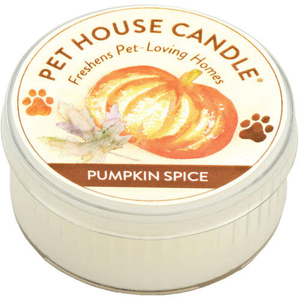 Pet House, Pumpkin Spice Candle - Image 2