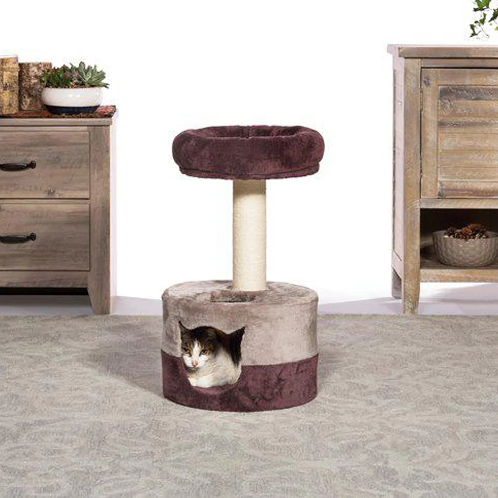 Prevue, Kitty King - Image 2