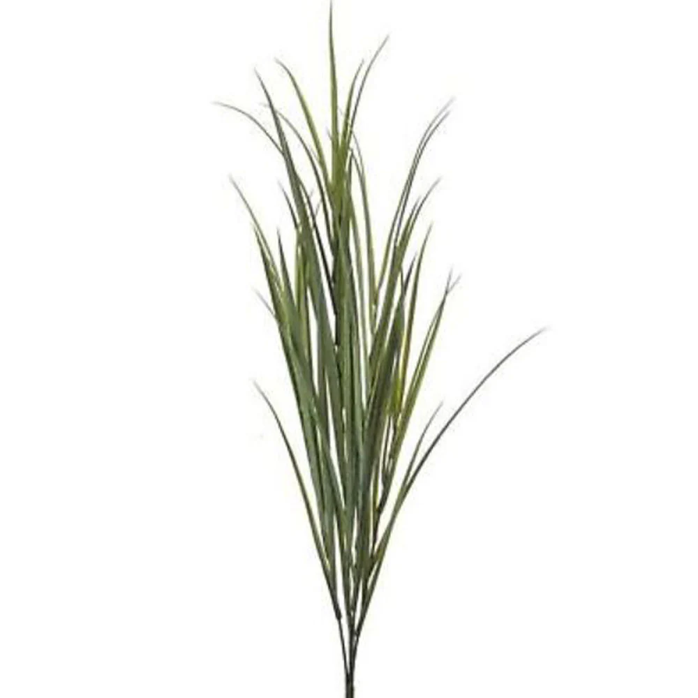 Regency, Ornamental Grass Bush, 41"