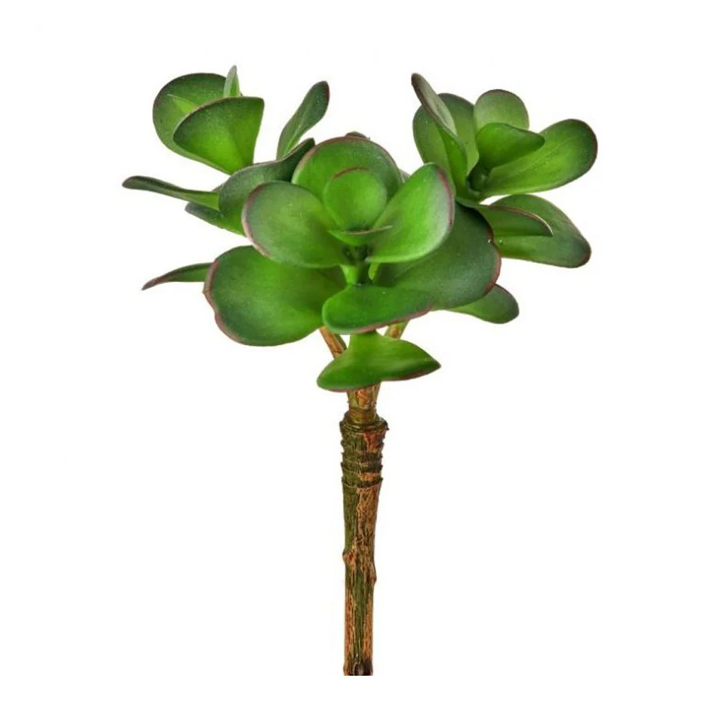 Regency, Triple Jade Succulent, Green, 6.5"