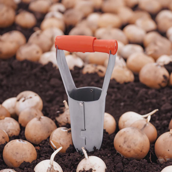Releasable Bulb Planter - Image 3