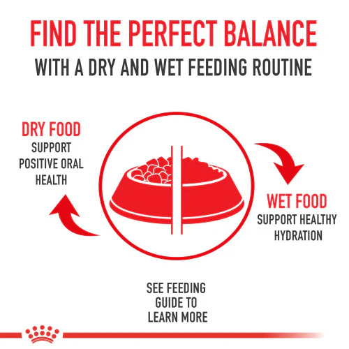 Royal Canin Golden Retriever Adult Dry Dog Food, 30 lb. - Image 5