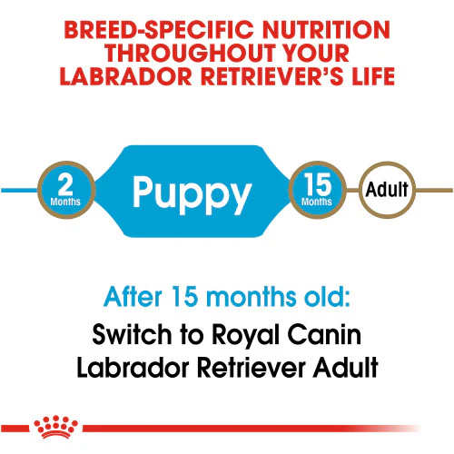 Royal Canin Labrador Retriever Puppy Dry Dog Food, 30 lb. - Image 4