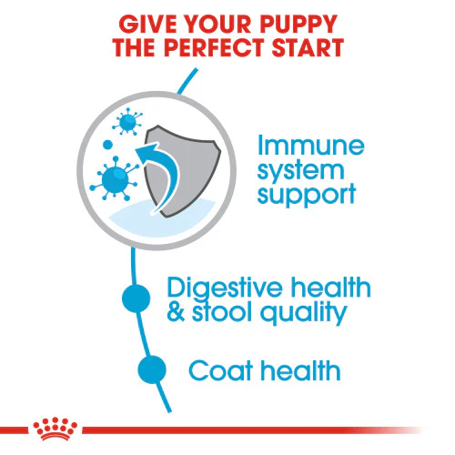 Royal Canin Small Indoor Puppy Dry Dog Food, 2.5 lb. - Image 3
