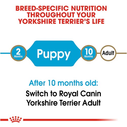 Royal Canin Yorkshire Terrier Puppy Dry Dog Food, 2.5 lb. - Image 4