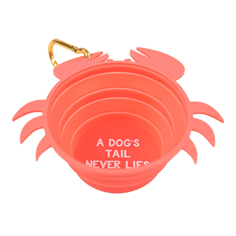 Simply Southern, Collapsible Pet Bowl - Image 2