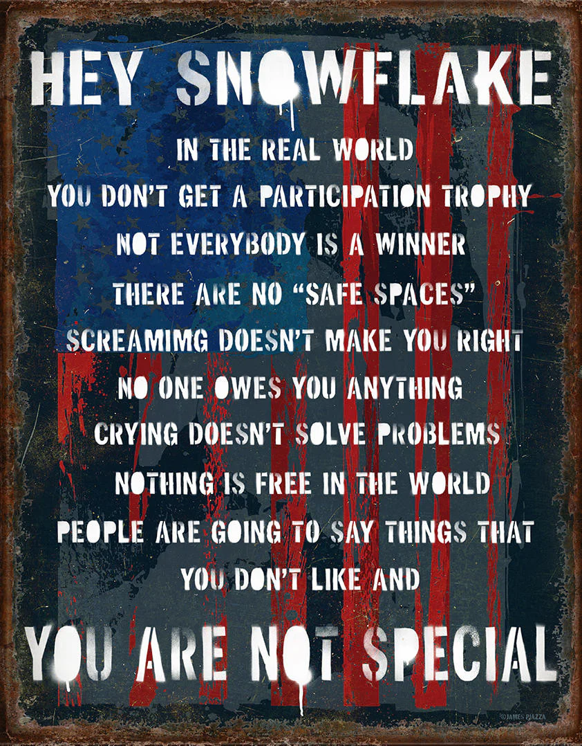 Hey Snowflake - 12.5in x 16in Metal Sign