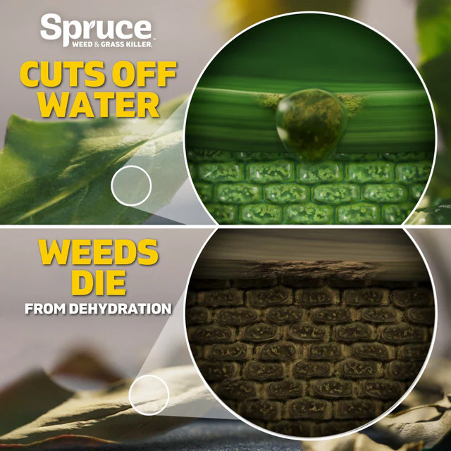 Spruce - 64oz Power Wand Weed & Grass Killer - Image 4