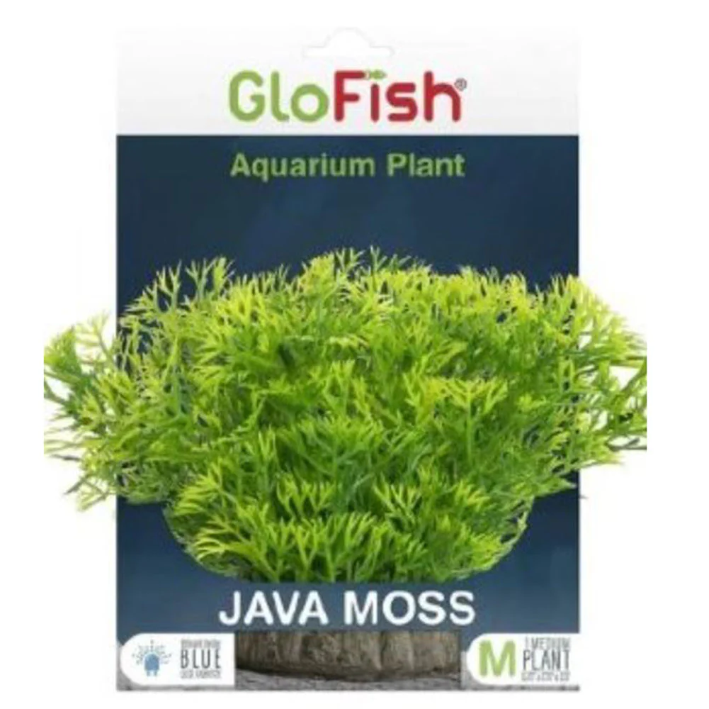 Tetra, Glofish Plant, Java moss, Green