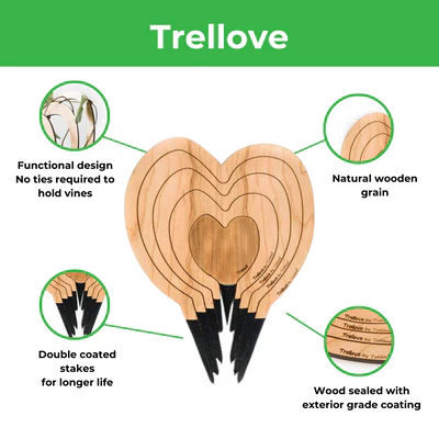 Treleaf - Trellove Plant Stake - Image 3