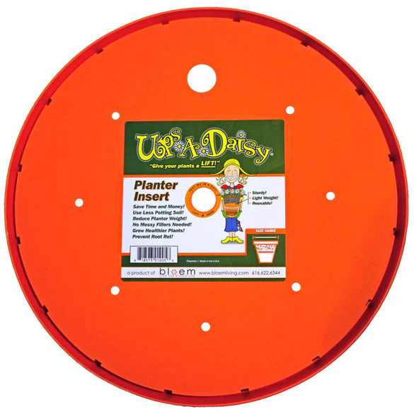 Ups-A-Daisy, 15"