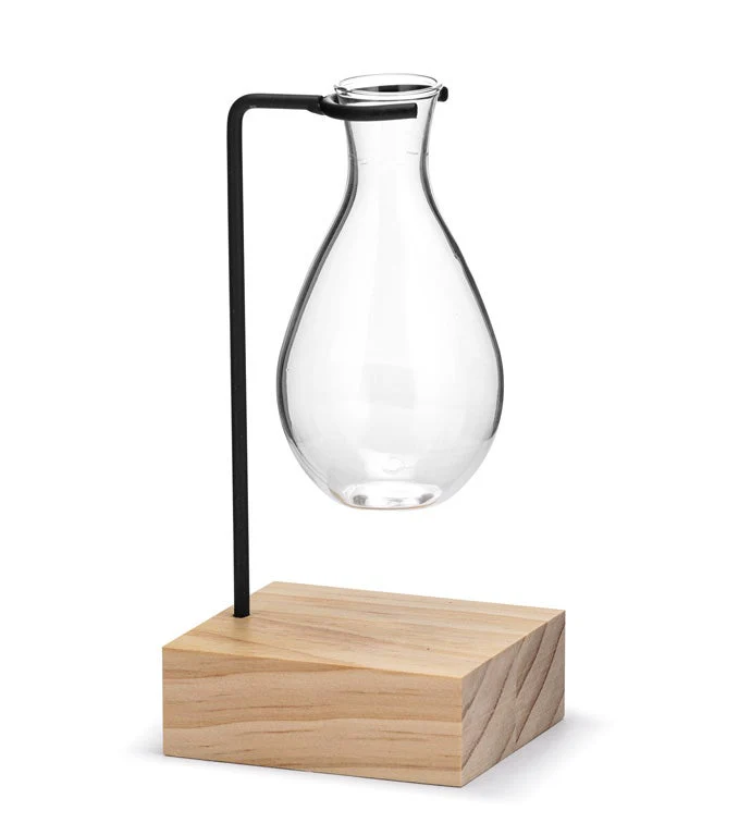 Napco - Wire Stake Vase Propagation Stand